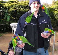 Canberra Walk In Aviary - Sydney Tourism