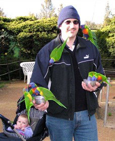 Canberra Walk In Aviary - Sydney Tourism 0