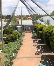 Canberra Walk In Aviary - Sydney Tourism 3