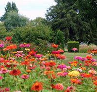 Alma Park
