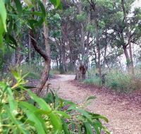 Mount Mutton Walking Trail