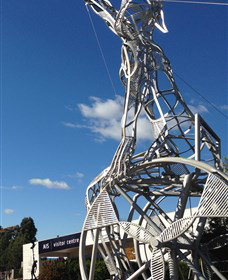 Australian Institute Of Sport (AIS) - Sydney Tourism 0