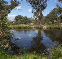 Cooleman Ridge - Sydney Tourism