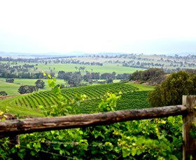 Hollydene Estate Wines And Vines Restaurant - Sydney Tourism 2