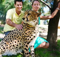 National Zoo  Aquarium - Sydney Tourism