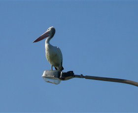 Bailey's Sydney - Tours For People Who Don't Like Tours - Sydney Tourism 3