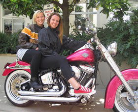 Wild Ride Harley And Motorcycle Tours - Sydney Tourism 0