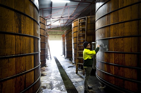 Patritti - Sydney Tourism 1