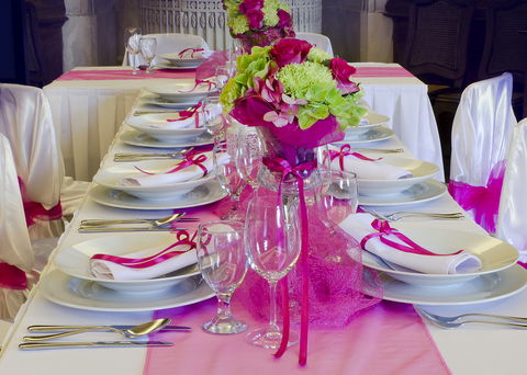 Vagabond Cruises - Sydney Tourism 5