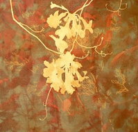 Fellia Melas Gallery - Sydney Tourism