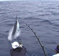 Amokura Charters - Sydney Tourism