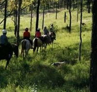 Hunter Valley Horse Riding and Adventures - Sydney Tourism