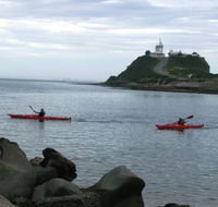 Newcastle Kayak Tours - Sydney Tourism