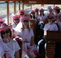 Newcastles Famous Tram - Sydney Tourism