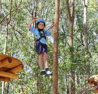 TreeTops Newcastle - Sydney Tourism