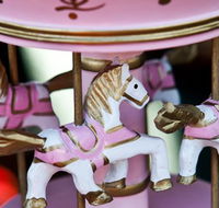 Newcastle City Farmers Markets - Sydney Tourism