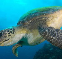 Byron Bay Dive Centre