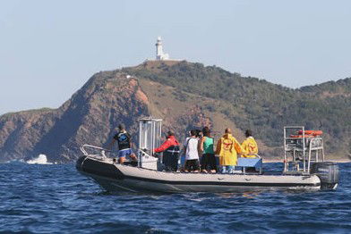 Byron Bay Dolphin Wildlife Tours - Sydney Tourism 1