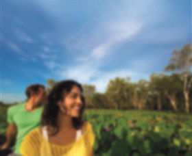 AAT Kings Guided Tours (Top End) - Sydney Tourism 3