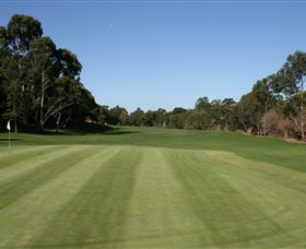 Bardwell Valley Golf Club Ltd - Sydney Tourism 2