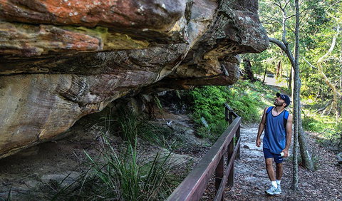 Aboriginal Heritage Walk - Sydney Tourism 0