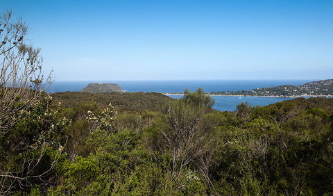 Aboriginal Heritage Walk - Sydney Tourism 1