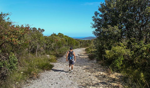Aboriginal Heritage Walk - Sydney Tourism 3