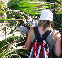 Palm Jungle loop track - Sydney Tourism