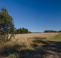 Scheyville horse riding trails - Sydney Tourism