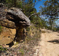 Canoelands Ridge walking track - Sydney Tourism