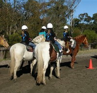 Darkes Forest Riding Ranch - Sydney Tourism