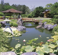 Gosford Regional Gallery and Edogawa Commemorative Garden - Sydney Tourism