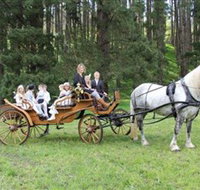 Classic Carriage Drives - Sydney Tourism