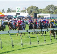 Morphettville Racecourse - Sydney Tourism