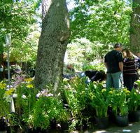 The Stirling Market - Sydney Tourism