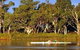 Martin Bend Reserve - thumb 0