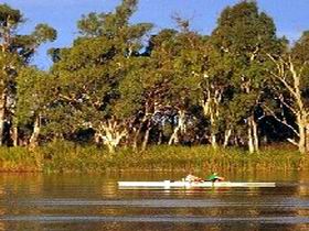 Martin Bend Reserve - Sydney Tourism 0