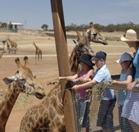 Monarto Open Range Zoo - Sydney Tourism