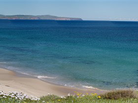 Carrickalinga Beach - Sydney Tourism 1