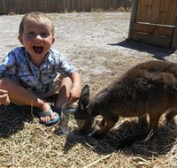 Animal Farm Goolwa - Sydney Tourism