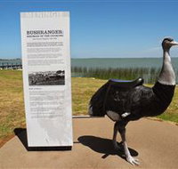 Birdman of the Coorong - Sydney Tourism