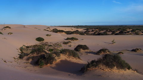 Mungo National Park - Sydney Tourism 2