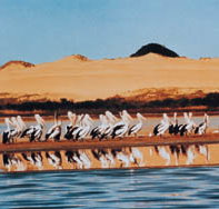 Coorong National Park - Sydney Tourism