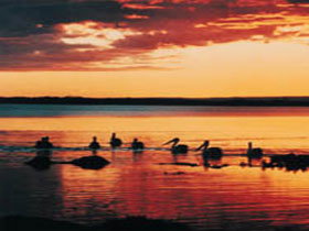 Coorong National Park - Sydney Tourism 1