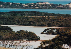 Coorong National Park - Sydney Tourism 2
