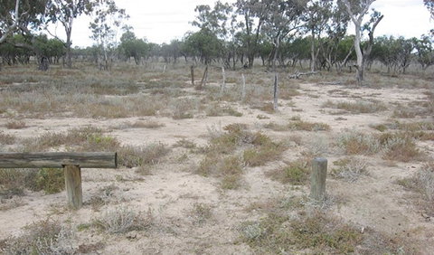 Culgoa Connellys Track - Sydney Tourism 0