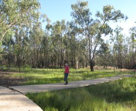 Ben Scott Memorial Bird Trail - Sydney Tourism 0