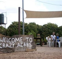 Crazy Acres - Sydney Tourism