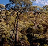 Ka Ka Mundi Carnarvon National Park - Sydney Tourism