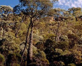 Ka Ka Mundi, Carnarvon National Park - Sydney Tourism 0